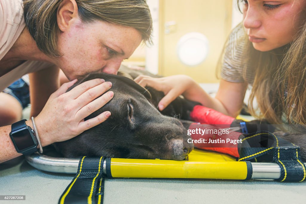 Family with dying dog