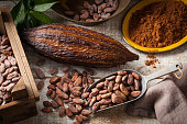 Cocoa beans and pod