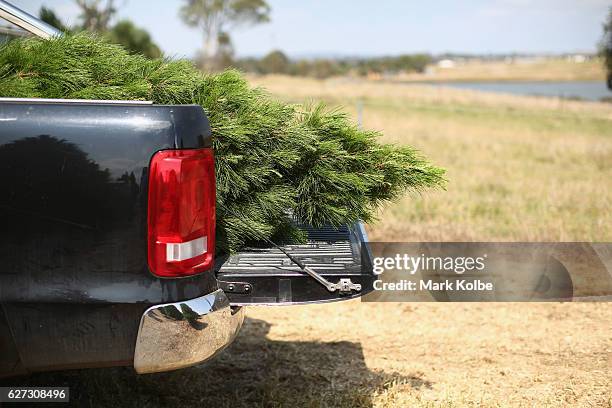 Christmas Ute Photos and Premium High Res Pictures - Getty Images