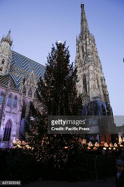 The christmas tree outside the St. Stephen's Cathedral in Vienna is pictured. The life in Vienna continues in the normal pace in Advent, two days...