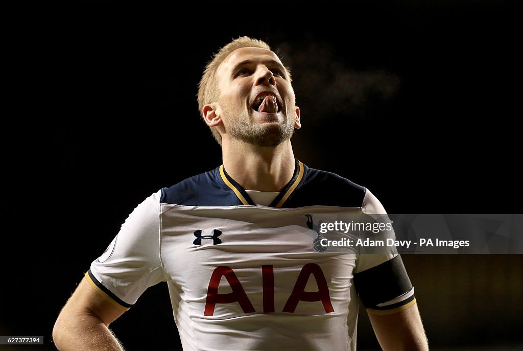 Tottenham Hotspur v Swansea City - Premier League - White Hart Lane