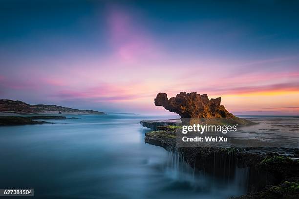 dragon from sea - mornington peninsula stockfoto's en -beelden