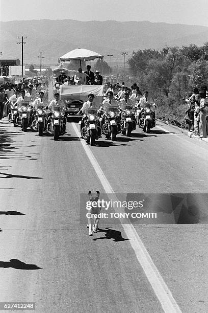 Thousands of peasants cheered Pope John Paul II along the 120-kilometer stretch separating Mexico from Puebla. | Location: Puebla, Mexico.