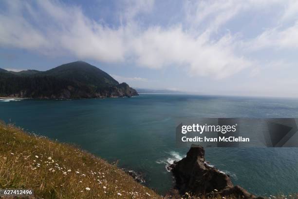 cape falcon cove oregon coast - mcclellan stock pictures, royalty-free photos & images