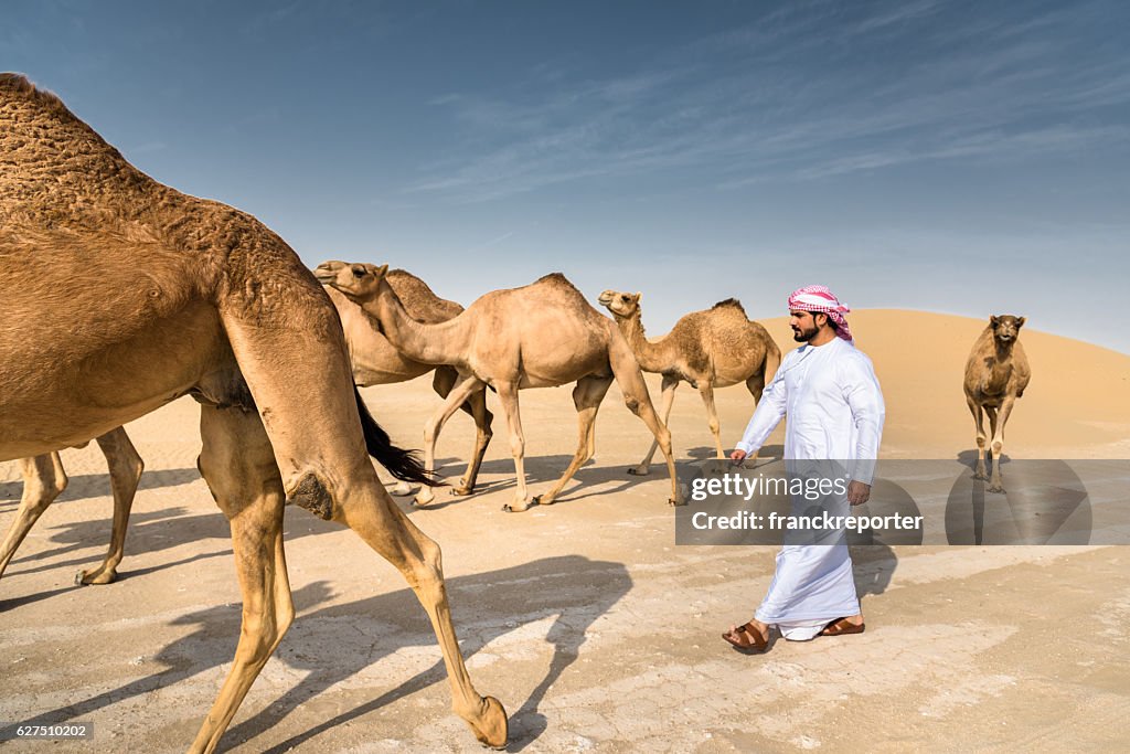 Arabischer Scheich auf der Wüste zu Fuß mit dem Kamel