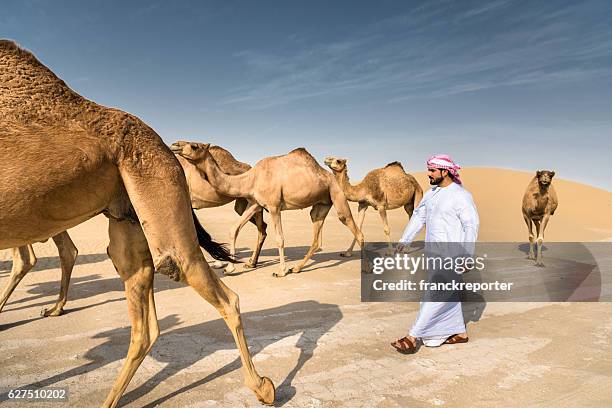ラクダと一緒に歩く砂漠のアラビア語のシェイク - オマーン ストックフォトと画像