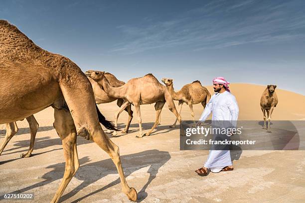 arabic sheik on the desert walking with the camel - qatar landscape stock pictures, royalty-free photos & images