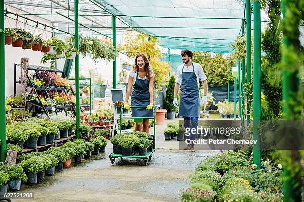 horticulture business - plant nursery stock pictures, royalty-free photos & images