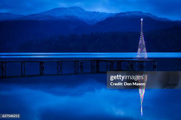 christmas tree reflecting in lake - lake whatcom bildbanksfoton och bilder