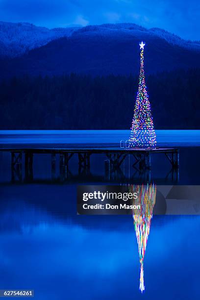 christmas tree reflecting in lake - lake whatcom bildbanksfoton och bilder