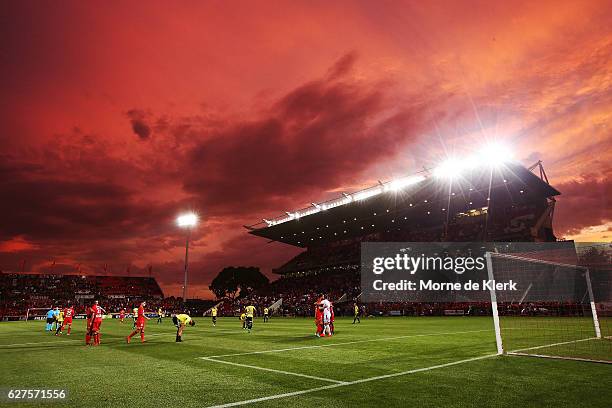 Adelaide players celebrate after winning the round nine A-League match between Adelaide United and the Wellington Phoenix at Coopers Stadium on...