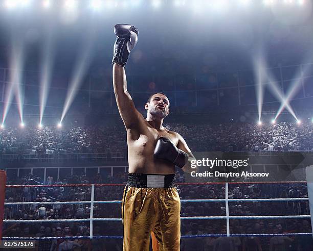 boxing: winner boxer - boksring stockfoto's en -beelden