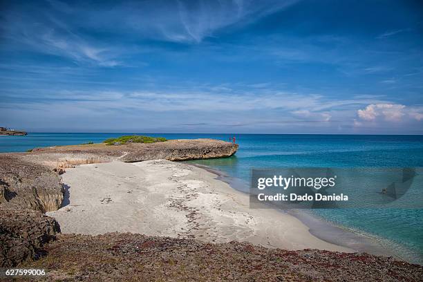 rocky beach - varadero beach stock pictures, royalty-free photos & images