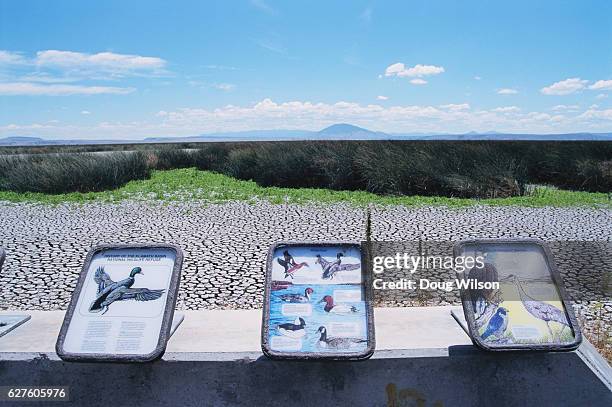 information displays at lower klamath lake - klamath reservation stock pictures, royalty-free photos & images