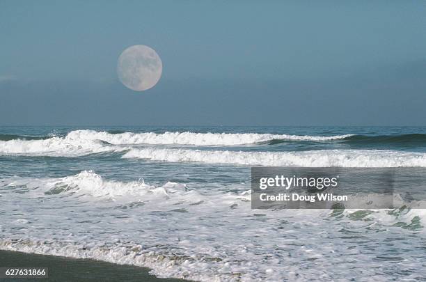 beaches - moon shore stock pictures, royalty-free photos & images