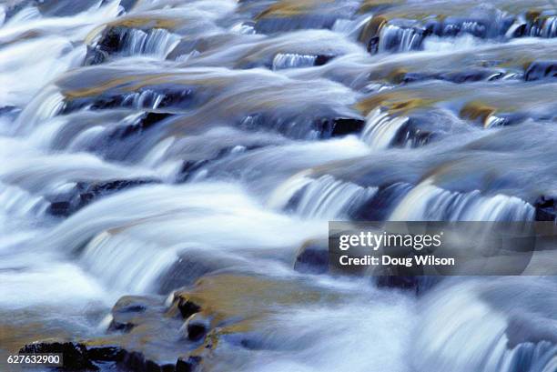 cascades rushing over rocks - prince of wales island stock pictures, royalty-free photos & images