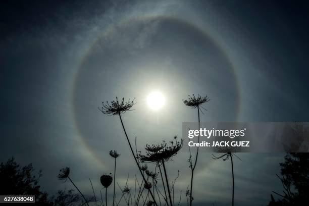 Picture taken on December 04, 2016 near the Israeli kibbutz of Nahsholim shows a halo around the sun. - The optical phenomena is produced by light...