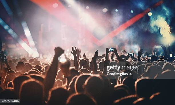 rock concert. - music fans bildbanksfoton och bilder