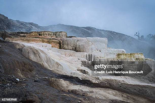 mammoth hot springs - eua 個照片及圖片檔