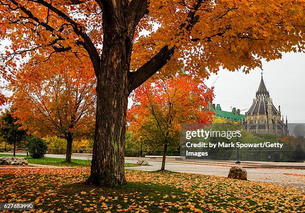 ottawa, canada - ottawa fall stock pictures, royalty-free photos & images