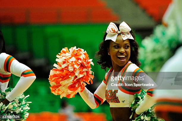 Florida A&M University Rattlers cheerleader shakes her pom-poms on December 03 at Al Lawson Center in Tallahassee, Florida.