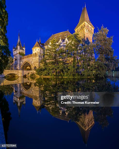 vajdahunyad castle - vajdahunyad castle stockfoto's en -beelden