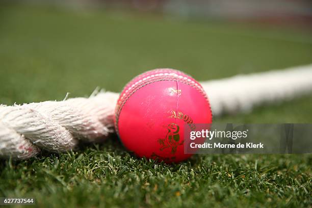 Pink Kookaburra cricket ball with green seam lies on the boundary rope before day one of the Sheffield Shield match between South Australia and New...