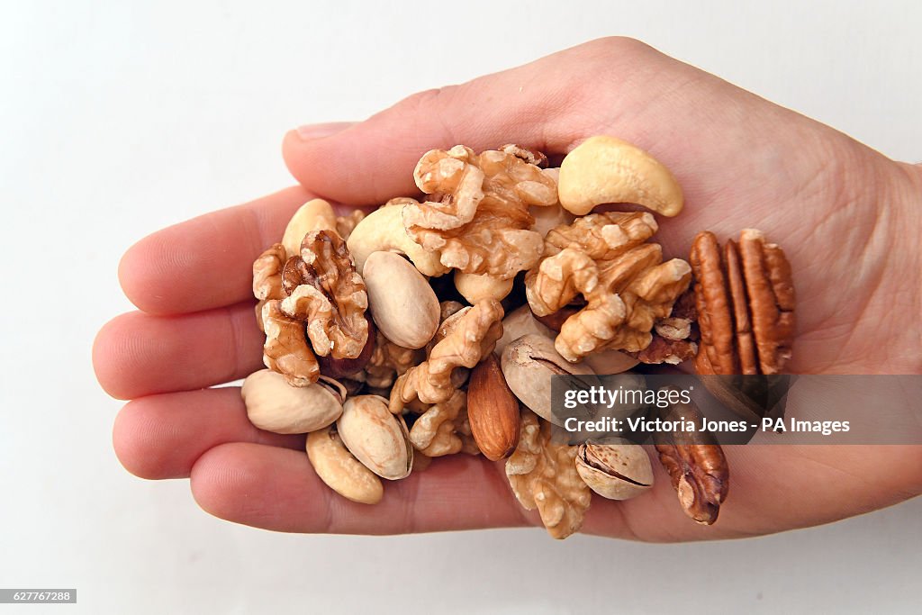 Nut research