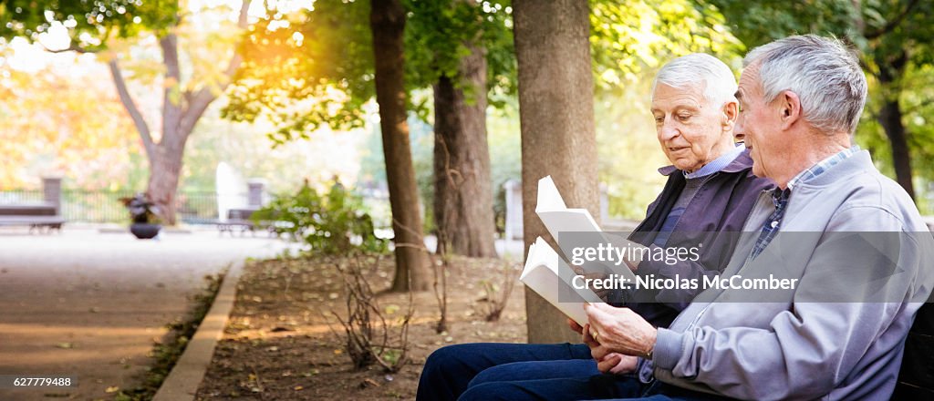 Senior gay male couple enjoying reading books in park panorama
