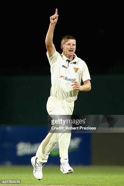 Jackson Bird of Tasmania celebrates the wicket of Marcus Stoinis of Victoria during day one of the Sheffield Shield match between Tasmania and...