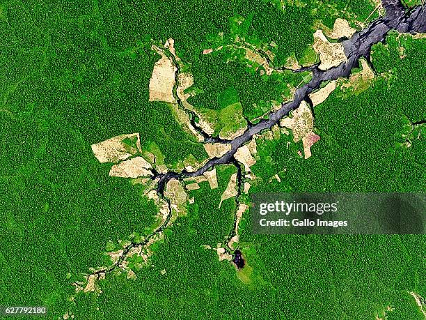 Natural satellite image of deforestation on the banks of Rio Jacu in the State of Amazonas, Brazil.