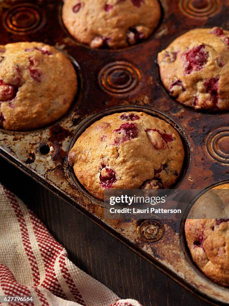 cranberry muffins - muffin tin stock pictures, royalty-free photos & images