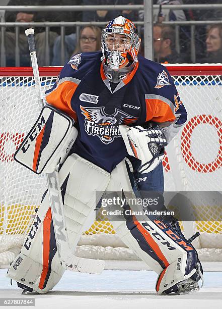 Garrett Forrest of the Flint Firebirds watches the action against the London Knights during an OHL game at Budweiser Gardens on December 4, 2016 in...