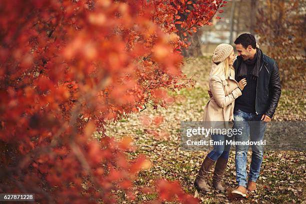 young embraced couple taking a walk in autumn park. - falling in love stockfoto's en -beelden