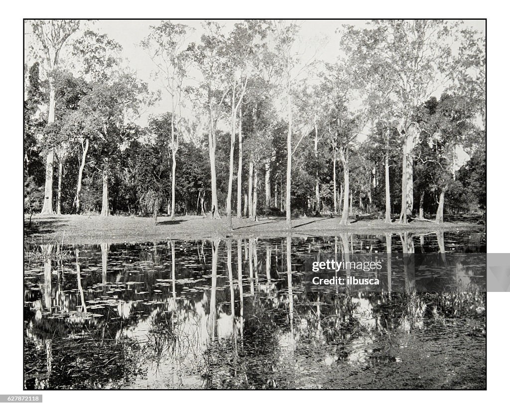 Antique photograph of Lagoon on the Clarence River