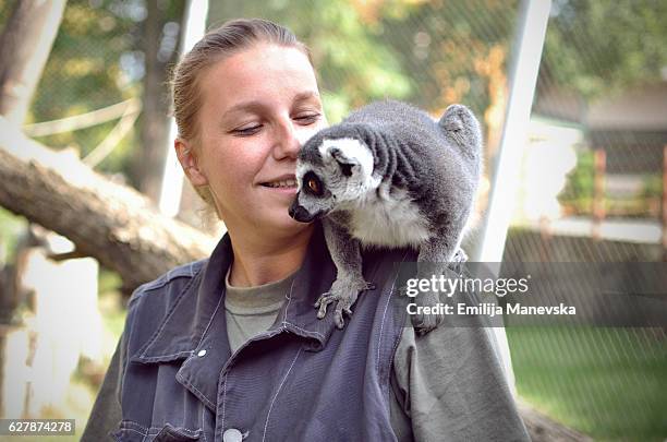 young woman with lemur on her shoulder - zoo stockfoto's en -beelden