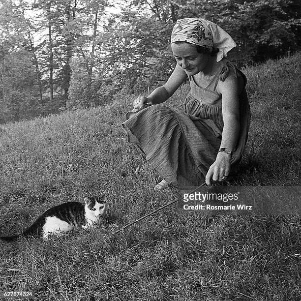 young woman playing with cat - 1977 stock pictures, royalty-free photos & images
