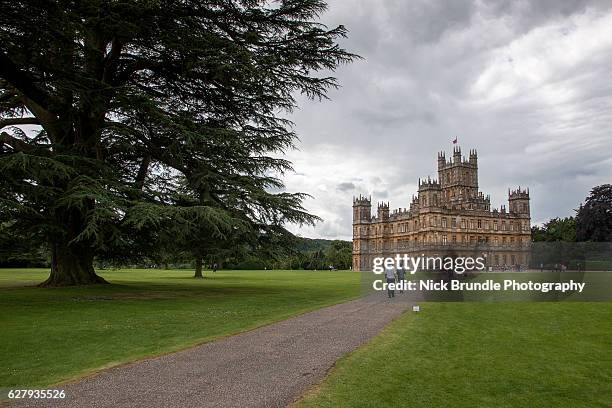 highclere castle - bbc natural history stock pictures, royalty-free photos & images