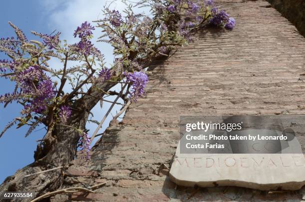 the medieval portico - leonardo costa farias stock-fotos und bilder