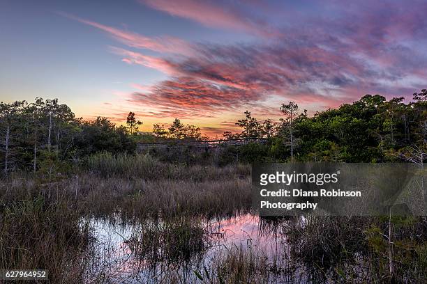 sunset at pa-hay-okee overlook, everglades national park, florida - condado de miami dade fotografías e imágenes de stock