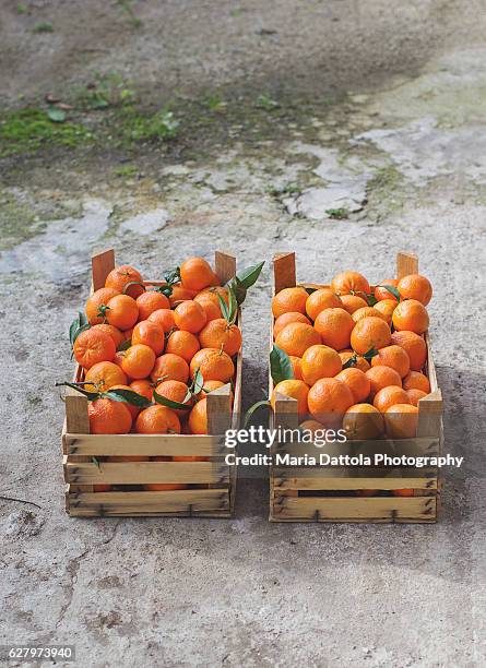 two tangerines boxes - tangerine 2015 film stock-fotos und bilder