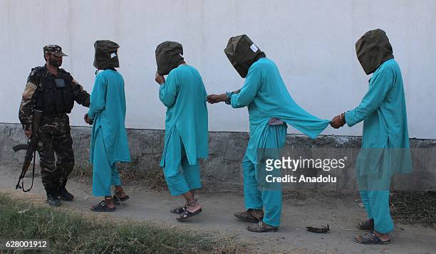 An Afghan security official carries members of Daesh and taliban militants in Jalalabad eastern Afghanistan on December 06, 2016. National...