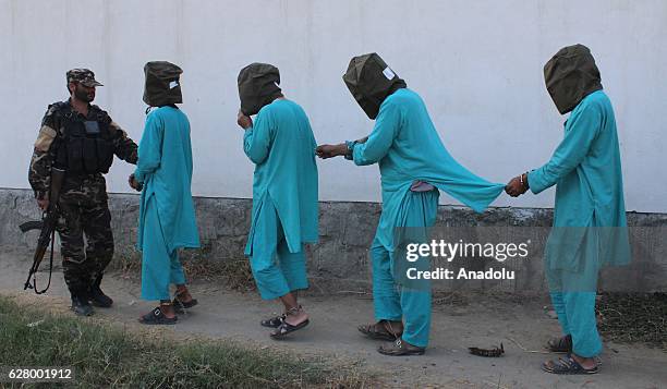 An Afghan security official carries members of Daesh and taliban militants in Jalalabad eastern Afghanistan on December 06, 2016. National...