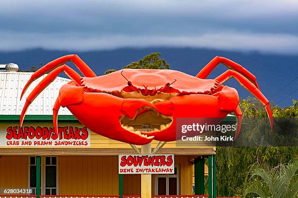 the big red mud crab, cardwell, queensland, australia - country town australia stock pictures, royalty-free photos & images