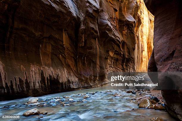 the narrows, zion national park, utah, america, usa - virgin river stockfoto's en -beelden
