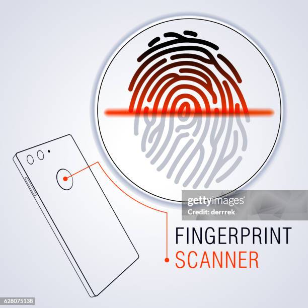 157 Handheld Computer Scanner Stock Photos, High-Res Pictures, and ...