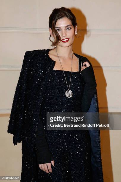 Alma Jodorowsky attends the "Chanel Collection des Metiers d'Art 2016/17 : Paris Cosmopolite" : Photocall at Hotel Ritz on December 6, 2016 in Paris,...