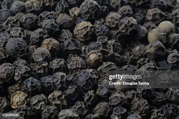 peppercorns from a black pepper plant (piper nigrum) - grano de pimienta negra fotografías e imágenes de stock