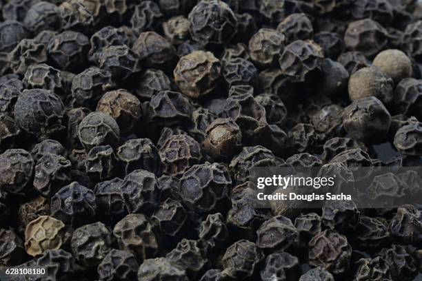 peppercorns from a black pepper plant (piper nigrum) - grano di pepe nero foto e immagini stock