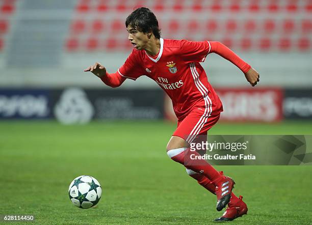 Benfica's midfielder Joao Felix Sequeira in action during the UEFA Youth Champions League match between SL Benfica and SSC Napoli at Caixa Futebol...